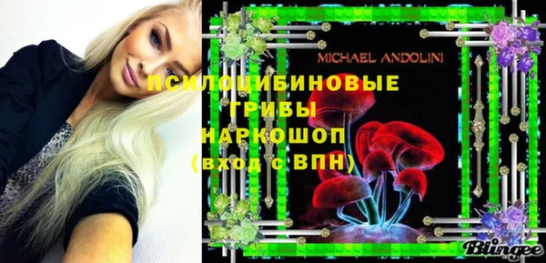 мдпв Арсеньев