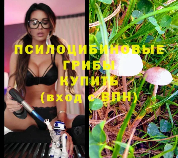 индика Армянск