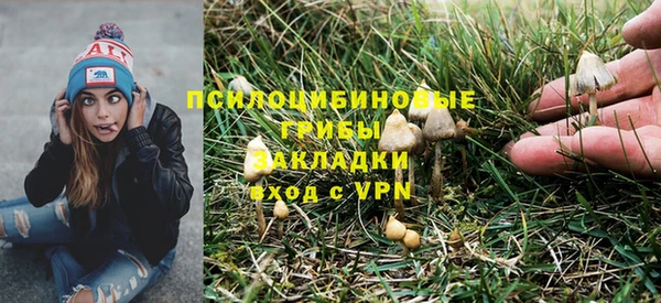 индика Армянск