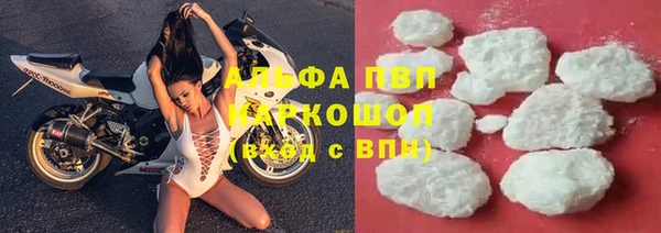 индика Армянск