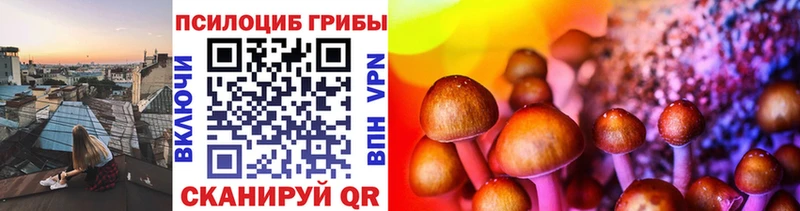 купить  цена  ОМГ ОМГ онион  Псилоцибиновые грибы Cubensis  Советск 