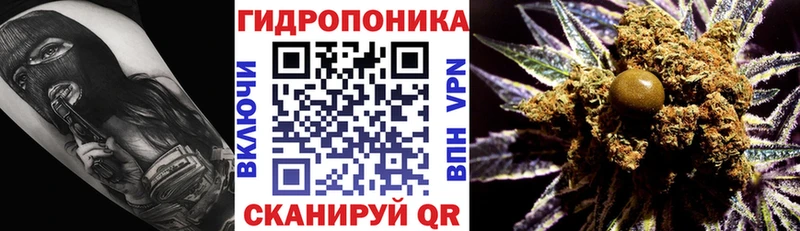 hydra где можно купить Советск Каннабис конопля